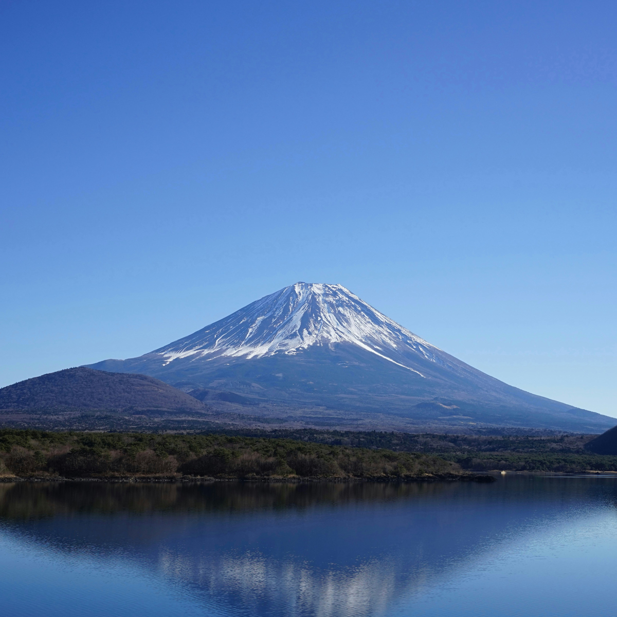 東京都市大学経営戦略研究室のイメージ画像