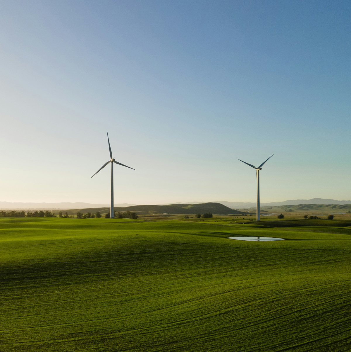 東京都市大学経営戦略研究室のイメージ画像